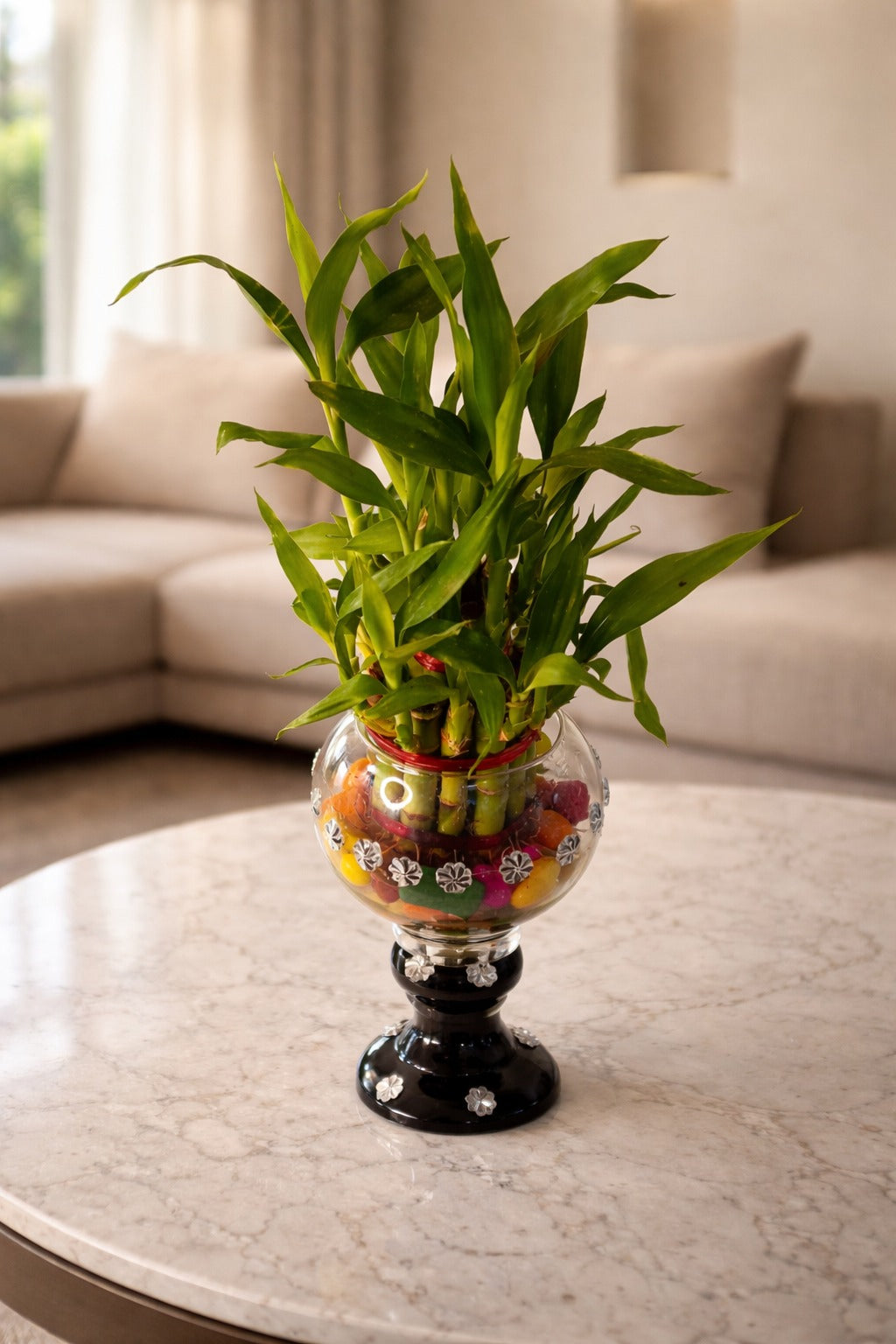 Lucky Bamboo Plant in Decorative Glass Vase with Pedestal Base & Color Pebbles | Indoor Vastu Feng Shui Plant for Home Décor, Office Table, Positive Energy & Gift Item