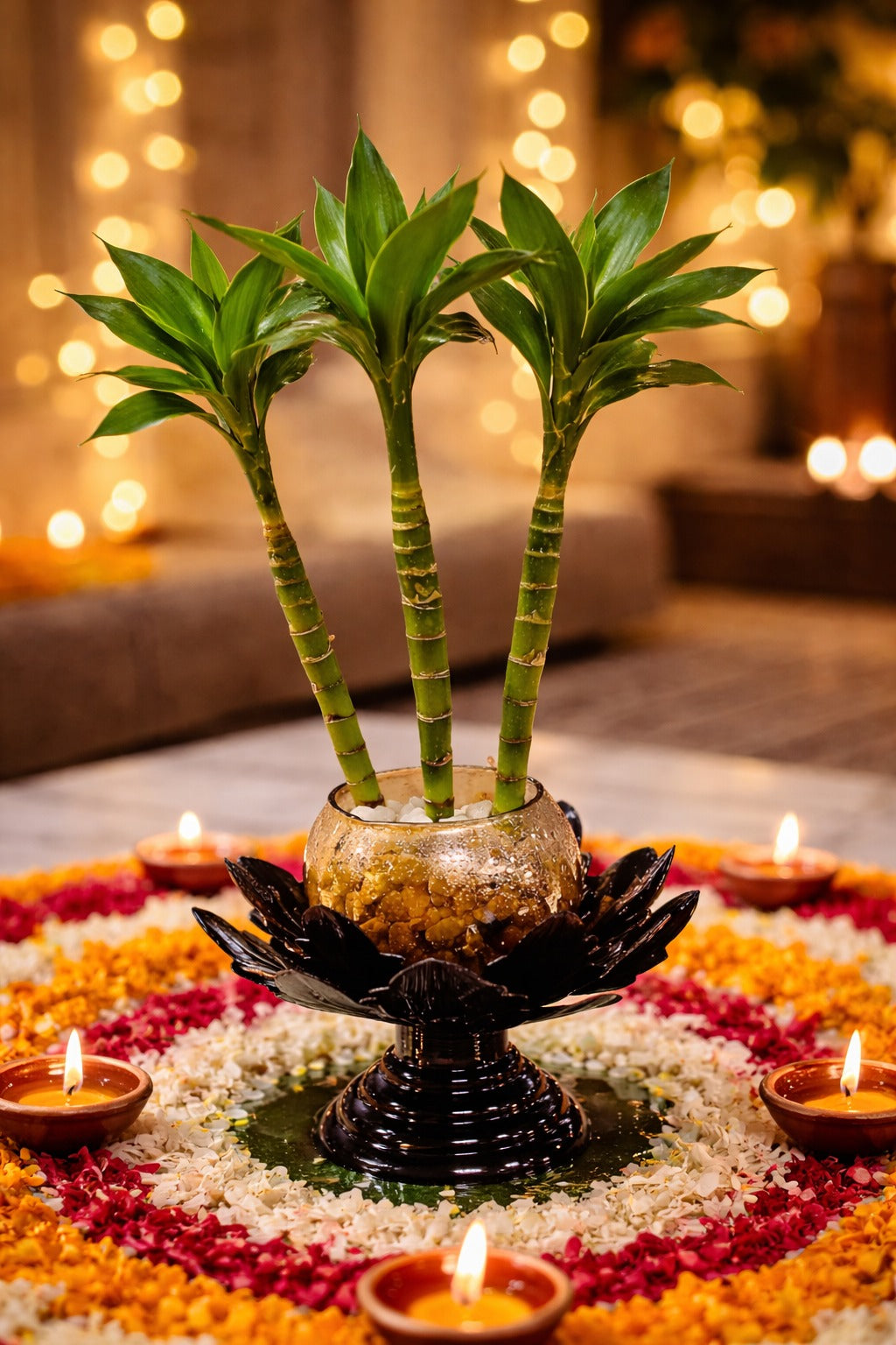 3 Layer Lucky Bamboo Plant in Golden Glass Bowl with Designer Black Lotus Stand | Feng Shui Vastu Indoor Plant | Luxury Tabletop Home Décor for Living Room Office Gift