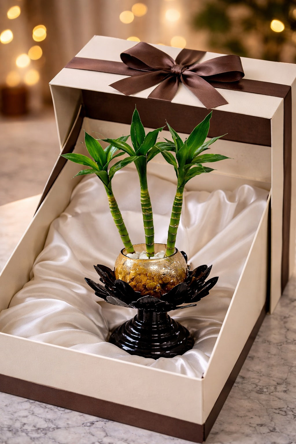 3 Layer Lucky Bamboo Plant in Golden Glass Bowl with Designer Black Lotus Stand | Feng Shui Vastu Indoor Plant | Luxury Tabletop Home Décor for Living Room Office Gift