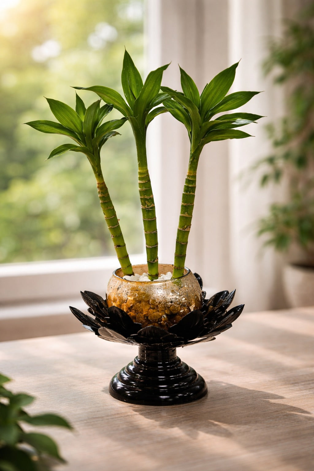 3 Layer Lucky Bamboo Plant in Golden Glass Bowl with Designer Black Lotus Stand | Feng Shui Vastu Indoor Plant | Luxury Tabletop Home Décor for Living Room Office Gift