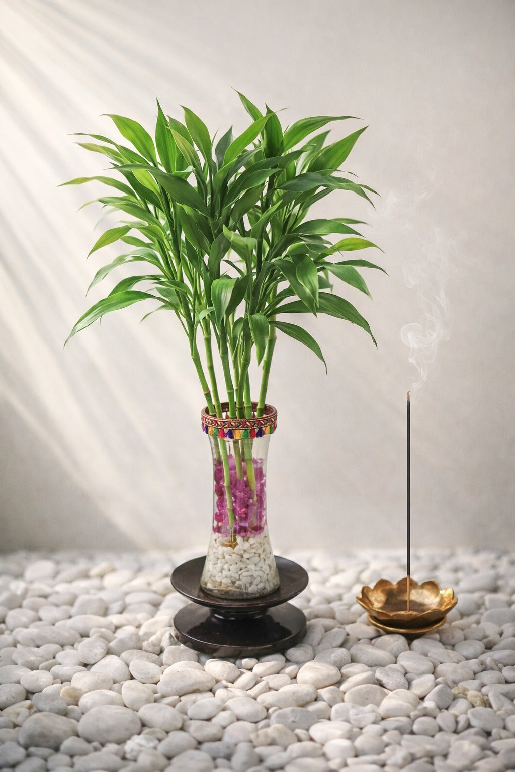 Premium Lucky Bamboo Plant in Tall Glass Vase with Decorative Pebbles | Feng Shui Vastu Indoor Plant | Spiritual Home Décor Tabletop Showpiece for Living Room Office Gift