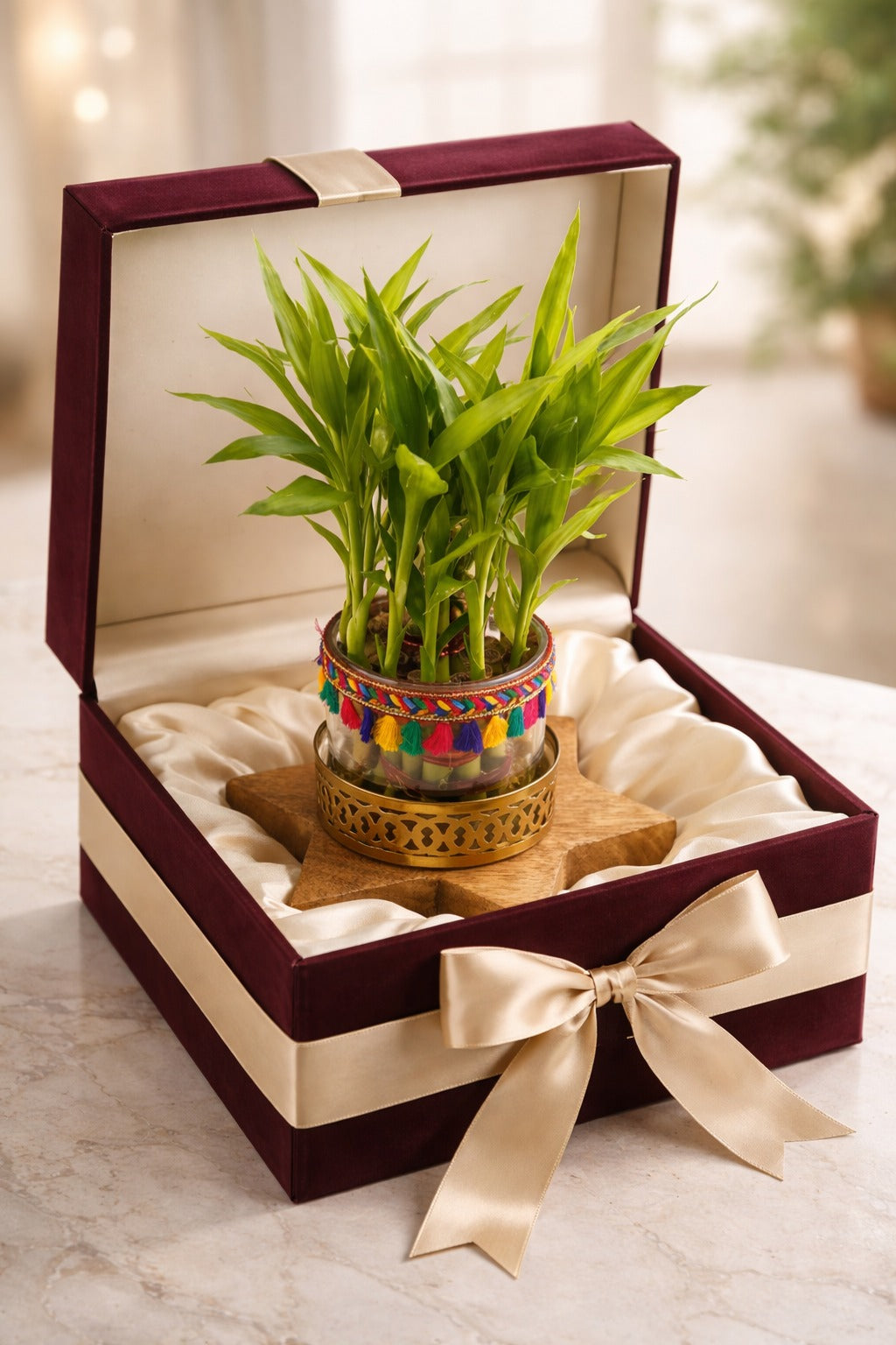 Lucky Bamboo Plant with Decorative Glass Vase & Metal Holder on Wooden Star Base | Indoor Feng Shui Good Luck Plant for Home & Office Decor
