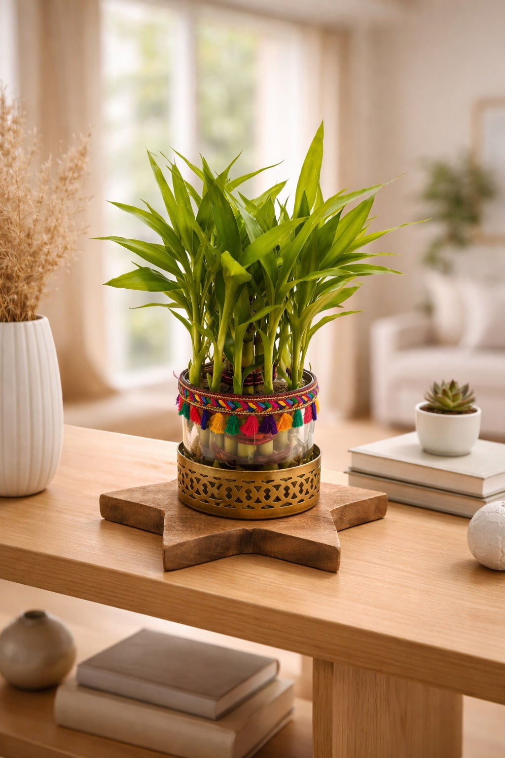 Lucky Bamboo Plant with Decorative Glass Vase & Metal Holder on Wooden Star Base | Indoor Feng Shui Good Luck Plant for Home & Office Decor