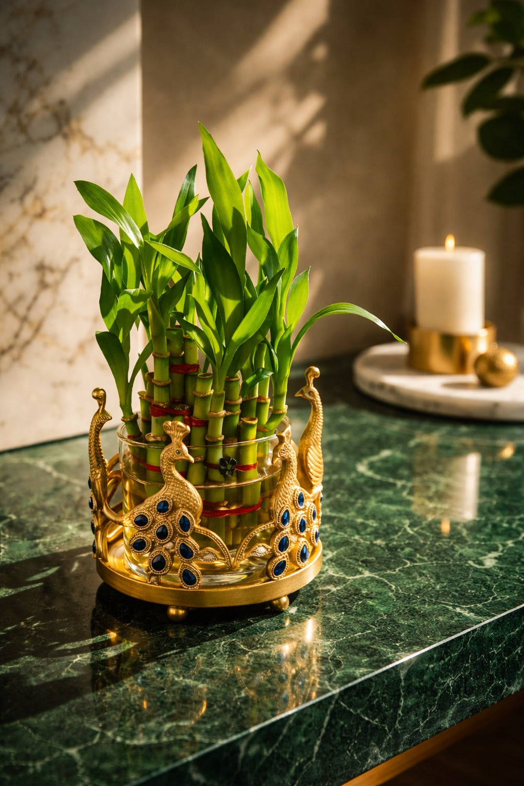 Lucky Bamboo Plant with Peacock Metal Holder & Glass Vase | Decorative Indoor Planter for Home & Office Decor
